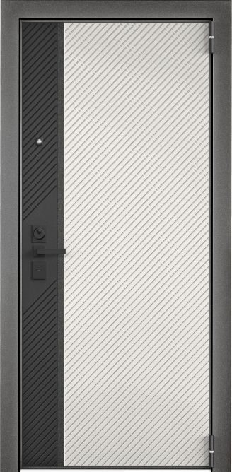 Входная металлическая дверь RS-254