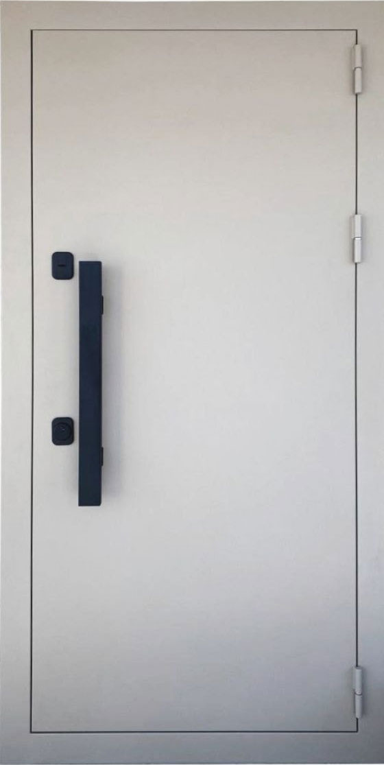 Металлическая входная дверь в коттедж RS15