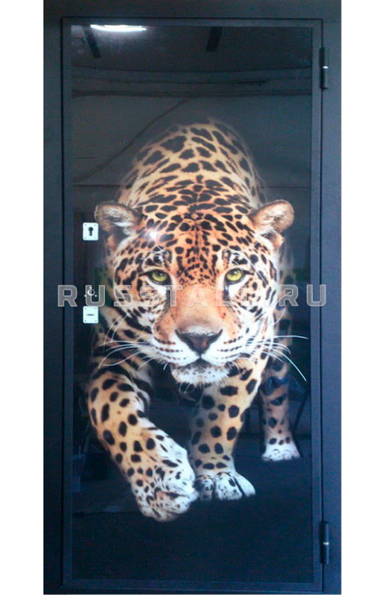 Стальная входная дверь премиум RS75