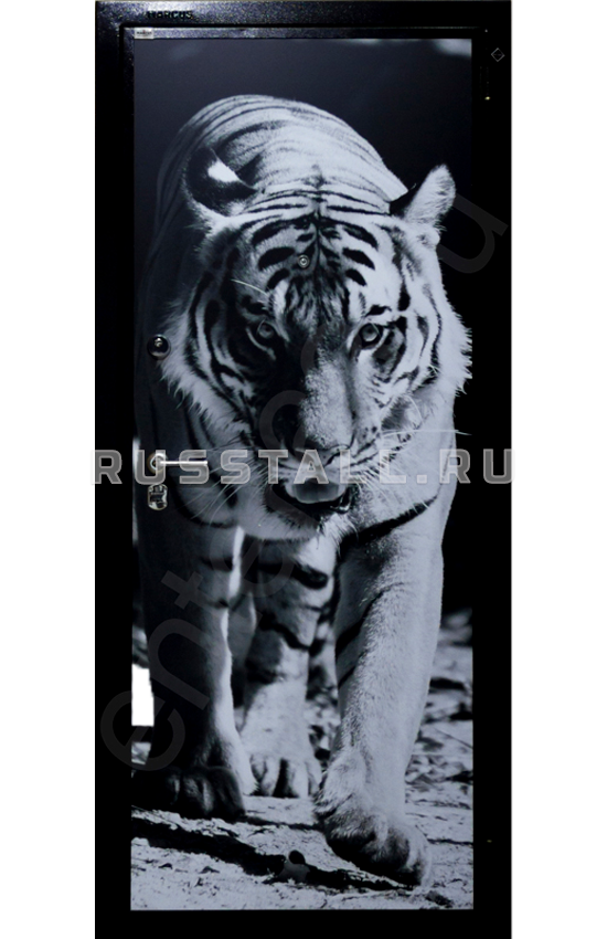 Металлическая входная дверь с фотопечатью RS76