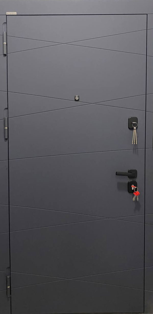 Входная дверь в квартиру  RS26