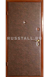 Металлическая входная дверь RS31 - Изображение